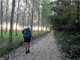 Garlasco: Via Francigena molto frequentata da pellegrini di tutto il mondo anche nel tratto lomellino Garlasco: Via Francigena molto frequentata da pellegrini di tutto il mondo anche nel tratto lomellino