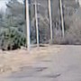 Appicca il fuoco a un deposito nel Leccese, il video del piromane in azione Appicca il fuoco a un deposito nel Leccese, il video del piromane in azione