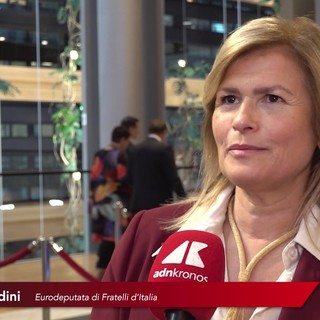 Materie prime critiche, Vivaldini (FdI): "Italia precorre Ue. Bene candidatura Porto Marghera"
