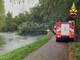 Tragedia lungo il Naviglio a Robecchetto: è Viviana la donna colpita da un albero durante una passeggiata