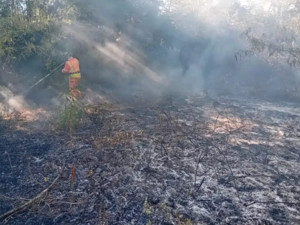 Boffalora, ancora fiamme alla Gambarina: tre roghi distinti, l’ombra del dolo nel Parco del Ticino