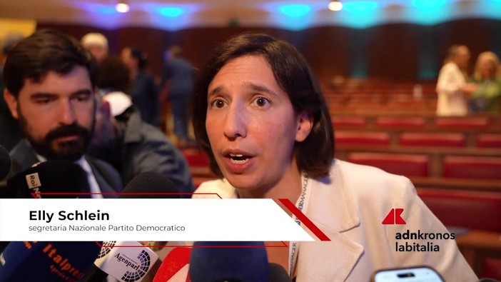 Pmi: Schlein (Pd), 'Energia, investimenti e salari: così rilanciamo la competitività' Pmi: Schlein (Pd), 'Energia, investimenti e salari: così rilanciamo la competitività'