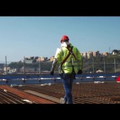 Ponte Genova San Giorno, resilienza e orgoglio italiano dopo il crollo del Ponte Morandi Ponte Genova San Giorno, resilienza e orgoglio italiano dopo il crollo del Ponte Morandi