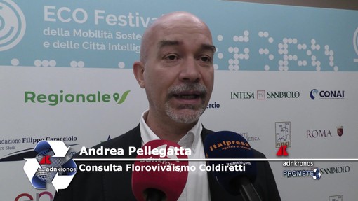 Sostenibilità, Pellegatta (Coldiretti): 'alberi contrastano effetti negativi del cambiamento climatico'