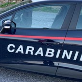Forzano l'ingresso in cortile e rubano il trattore in una cascina di Tromello