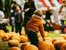 Il saluto del Villaggio: il pumpkin patch alle porte di Pavia si congeda, arrivederci al 2025