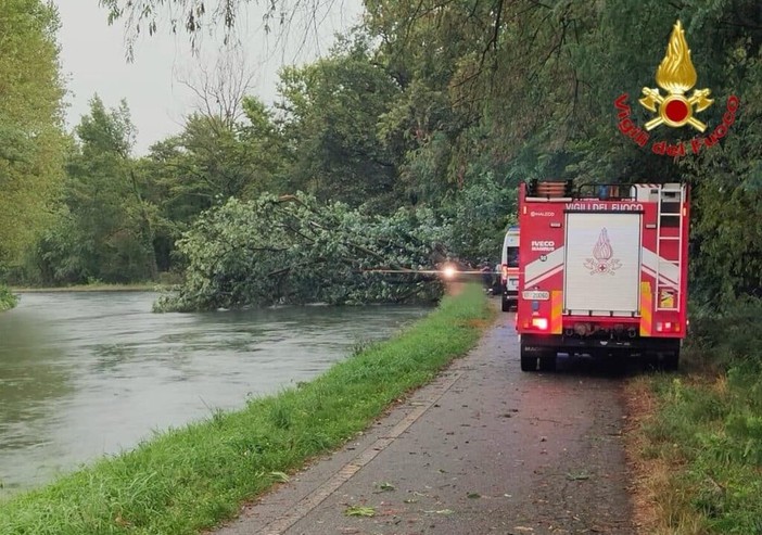 Tragedia a Robecchetto con Induno: albero crolla per il maltempo e uccide una donna
