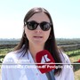 Energia: vicesindaca di Poviglio: "Impianto di Viridis importante per noi'