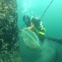 Marina di Ravenna, torna la Festa della Cozza Selvaggia tra mare, biodiversità e tradizioni Marina di Ravenna, torna la Festa della Cozza Selvaggia tra mare, biodiversità e tradizioni