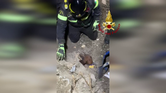Zavattarello, cane resta intrappolato in un tubo interrato: il video del salvataggio dei Vigili del fuoco