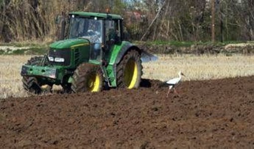 Caro carburanti ed energia, Filiera Italia lancia l'allarme: "Agricoltori schiacciati tra alti costi di produzione e prezzi bassi" Caro carburanti ed energia, Filiera Italia lancia l'allarme: "Agricoltori schiacciati tra alti costi di produzione e prezzi bassi"