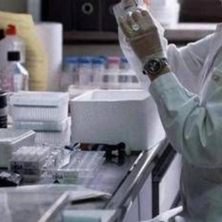 Nefropatia da IgA, monoclonale umanizzato preserva funzione renale