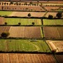 Banca nazionale delle Terre Agricole (Bta), al via nona edizione: in vendita 8.863 ettari per un valore di oltre 121 milioni di euro
