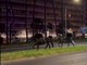 Cavalli in fuga a Roma, 4 vigili urbani fuori dalla parate del 2 giugno
