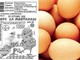 Uova ritirate dal mercato per rischio salmonella: il lotto, dove sono vendute