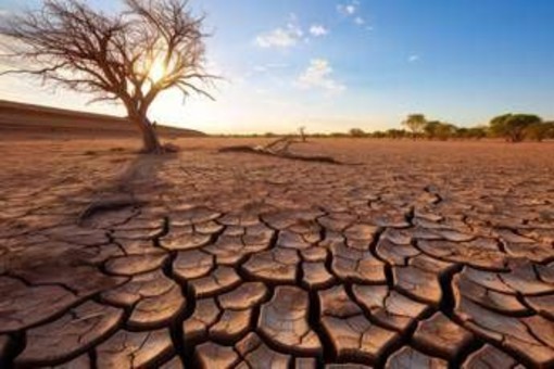 Clima, lo studio: riscaldamento globale accelera, la svolta dal 2013-2014 Clima, lo studio: riscaldamento globale accelera, la svolta dal 2013-2014