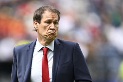 Belgio-Senegal, succede di tutto: ct annaffiato, invasione e lite in campo Belgio-Senegal, succede di tutto: ct annaffiato, invasione e lite in campo