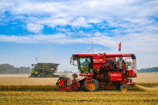 Cina, per la prima volta il raccolto di cereali estivi supera 150 mln tonnellate Cina, per la prima volta il raccolto di cereali estivi supera 150 mln tonnellate