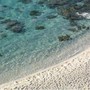 Niente ombrellone se hai tra 10 e 65 anni, il mondo guarda la Sardegna. E la regola divide turisti e ambientalisti Niente ombrellone se hai tra 10 e 65 anni, il mondo guarda la Sardegna. E la regola divide turisti e ambientalisti