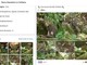 Cucciolo di ocelot al Parco Faunistico La Torbiera, il lieto evento vola sul web