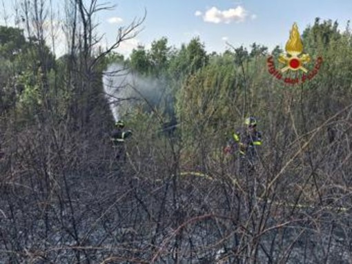 Roma, da via Pineta Sacchetti a Cinecittà: diversi incendi nella Capitale e dintorni
