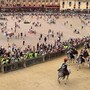 Palio di Siena, il Nicchio torna a vincere dopo 28 anni: Tittia firma il cappotto personale (con brivido finale) Palio di Siena, il Nicchio torna a vincere dopo 28 anni: Tittia firma il cappotto personale (con brivido finale)