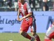 Cremonese-Udinese finisce 1-1: gol di Terracciano e Zaniolo