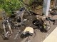 Savona, 23enne in scooter travolta e uccisa. Ragazzo posta video choc: "E' morta, abbiamo rotto tutto" Savona, 23enne in scooter travolta e uccisa. Ragazzo posta video choc: "E' morta, abbiamo rotto tutto"