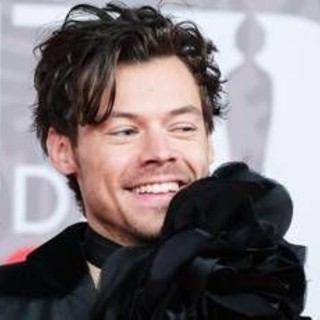 Harry Styles oltre la musica, lancia una linea di... sex toys: &quot;Pleasing Yourself&quot;