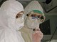 Virus Shamonda, Lopalco: "È favorito da crisi climatica, svegliamoci" Virus Shamonda, Lopalco: "È favorito da crisi climatica, svegliamoci"