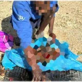 Orrore a Sezze, uccide e seziona un cane: guardie zoofile filmano tutto