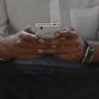Foglia di alloro nella cover del telefono, il significato del trend: porta davvero fortuna?