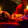 Rubano due teschi al cimitero per farne paralumi. Lo psichiatra: &quot;Antisociali con feticismo per la morte&quot;