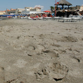 Ostia, si tuffa dal pontile e sbatte la testa: morto un ragazzo Ostia, si tuffa dal pontile e sbatte la testa: morto un ragazzo