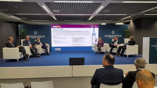 Ismea a Vinitaly: strategie, strumenti e prospettive per il vino italiano Ismea a Vinitaly: strategie, strumenti e prospettive per il vino italiano