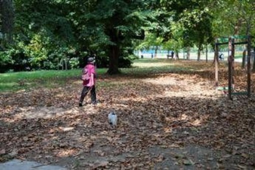 Meteo ottobre, l’Ottobrata conquista l’Italia: sole e temperature fino a 29°C