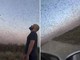Invasione record di locuste, milioni di insetti oscurano il cielo. E il web grida alla 'piaga biblica' Invasione record di locuste, milioni di insetti oscurano il cielo. E il web grida alla 'piaga biblica'