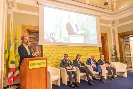 Rapporto Maciste, il mercato illecito del tabacco si sposta online e cambia volto Rapporto Maciste, il mercato illecito del tabacco si sposta online e cambia volto