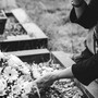 Genocidio, cosa significa: origine e storia del termine