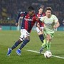 Europa-League, Bologna-Celtic 2-2: Dallinga e Rowe riprendono gli scozzesi