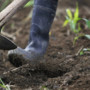 Cina, gli scarti agricoli diventano biochar ad alto valore Cina, gli scarti agricoli diventano biochar ad alto valore