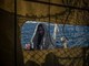 Naufragio nel Mediterraneo, Sea Watch: "Sei migranti dispersi, tre sono bambini" Naufragio nel Mediterraneo, Sea Watch: "Sei migranti dispersi, tre sono bambini"