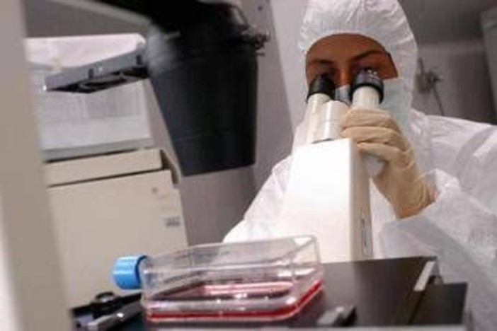 Florida, cresce l'allarme per il batterio mangiacarne: c'è una seconda vittima