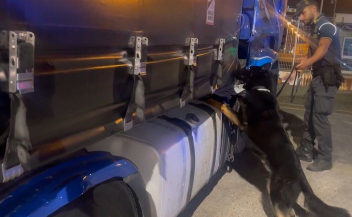 Sequestrati 85 kg di droga al porto di Civitavecchia, arrestato autista bulgaro