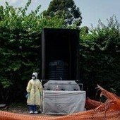 Ebola in Congo, sale il bilancio dell'epidemia: 131 morti. Il contagio si estende Ebola in Congo, sale il bilancio dell'epidemia: 131 morti. Il contagio si estende