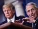 Covid Usa, Fauci si avvale del quinto emendamento. Trump: "Sue idee folli" Covid Usa, Fauci si avvale del quinto emendamento. Trump: "Sue idee folli"