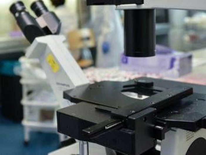 Così i tumori perdono il dono dell'invisibilità, la nuova strategia in una ricerca italiana