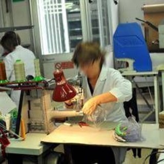 Lavoro, Inapp: &quot;Differenze percepite da 58% donne e 43,6% uomini&quot;