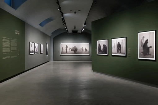 Alle Gallerie d’Italia di Torino la mostra “Nick Brandt”