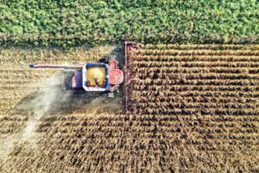 Hendron, Wild Bioscience: "Con nuove tecniche genomiche svolta storica per l’agricoltura europea"